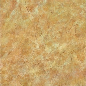 Gạch lát sàn Trường Thịnh MATT STONE V61001